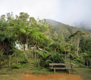 Sierra Maestra