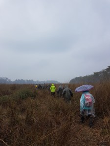 092bea7b86bf289f3fa94561a9b502cc10f4fb11565df82ece3f85fa7eaec0b2